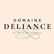 deliance 2